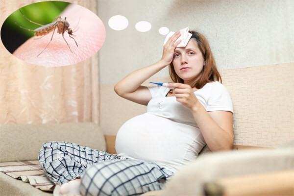  Phụ nữ bị sốt rét trong thời kì mang thai