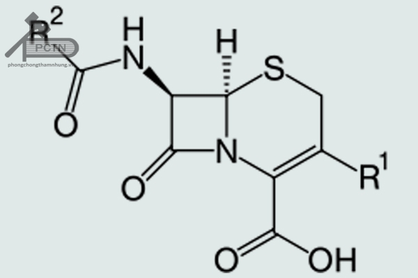 Công thức cấu tạo tổng quát của Cephalosporin