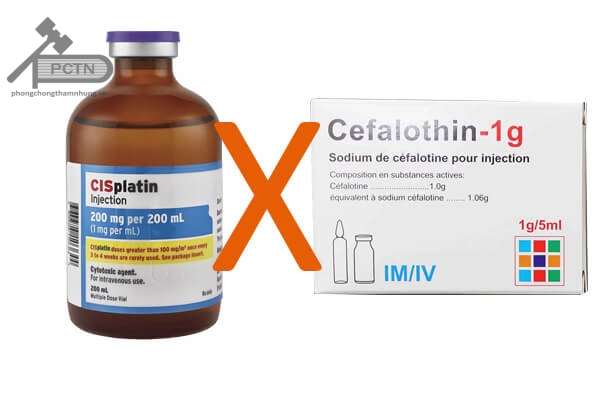 Không kết hợp cisplatin với Cefalothin