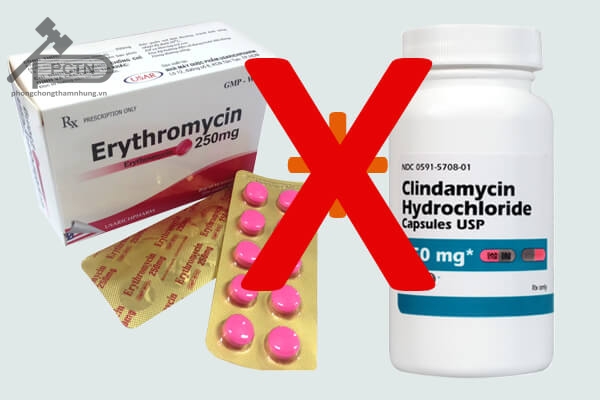 không Phối hợp erythromycin với clindamycin 