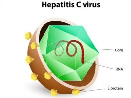 Virus gây bệnh viêm gan C