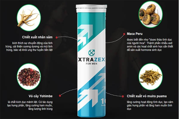 Thành phần của thuốc Xtrazex