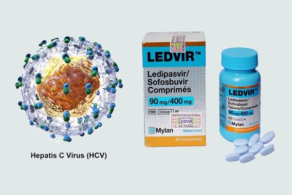 Virus Viêm gan C và thuốc Ledvir