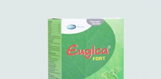 Eugica Fort