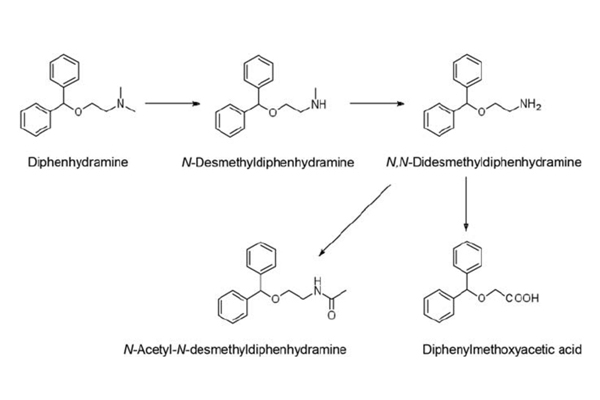Chuyển hóa Diphenhydramine