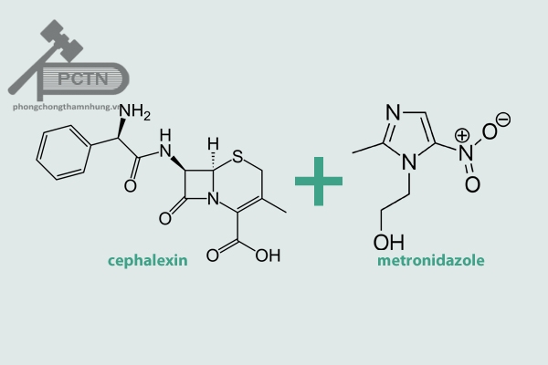 Kết hợp thuốc cephalexin với thuốc metronidazole