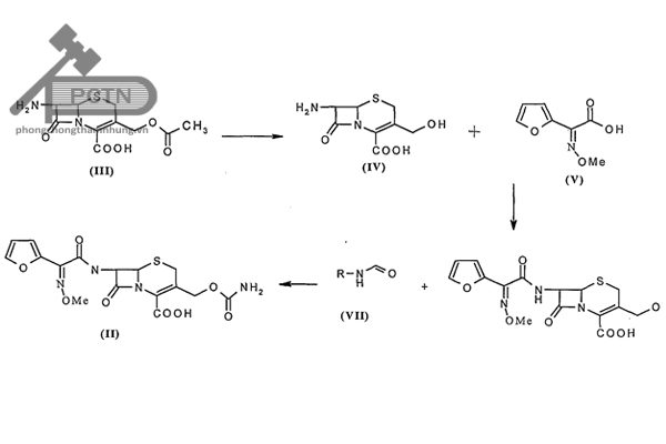 Sơ đồ bán tổng hợp của cefuroxime đi từ các cephalosporin tự nhiên khác.