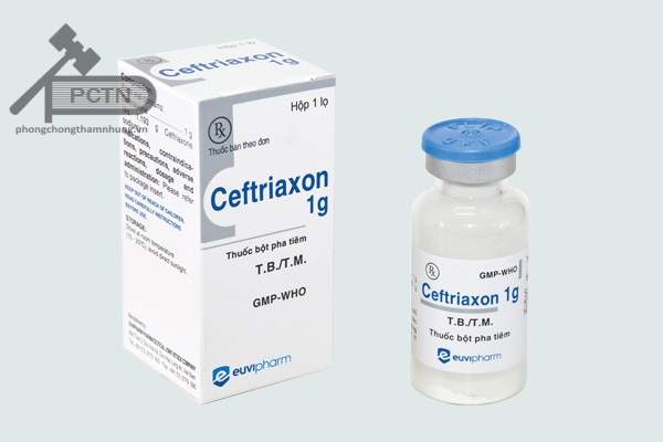 Thuốc Ceftriaxon 1g