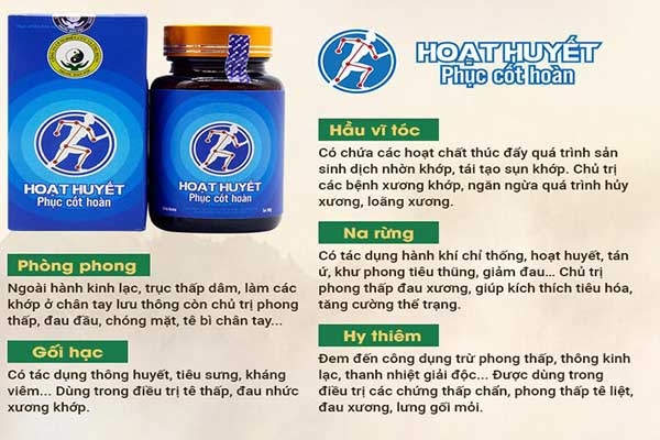 Tác dụng của Hoạt Huyết Phục Cốt Hoàn