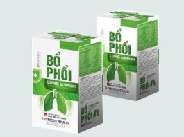 Thực phẩm bổ sung Bổ phổi Lung Support