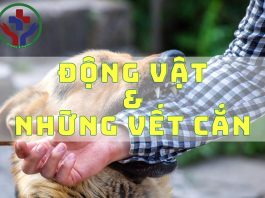 Động vật và những vết cắn