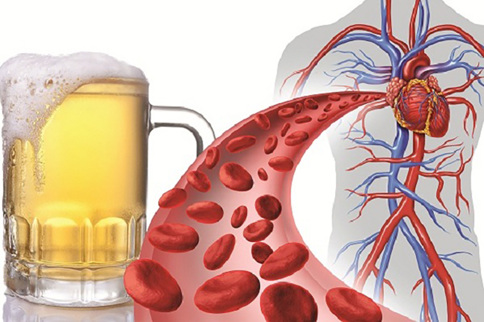Thức uống có cồn và các phát hiện mới liên quan đến nguy cơ tim mạch
