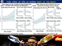 Thức uống có cồn và các phát hiện mới liên quan đến nguy cơ tim mạch