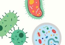 Đề xuất về tiếp cận điều trị nhiễm khuẩn do Acinetobacter baumanii kháng carbapenem (CRAB) cập nhật Hướng dẫn IDSA 2021