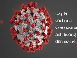 Đây là cách mà Coronavirus ảnh hưởng cơ thể