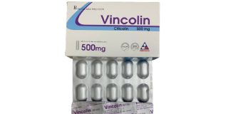 Thuốc Vincolin 500mg dạng viên