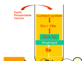 Xét nghiệm APTT