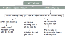 Sử dụng xét nghiệm trộn (Mixtest)