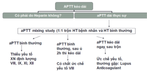 Sử dụng xét nghiệm trộn (Mixtest)