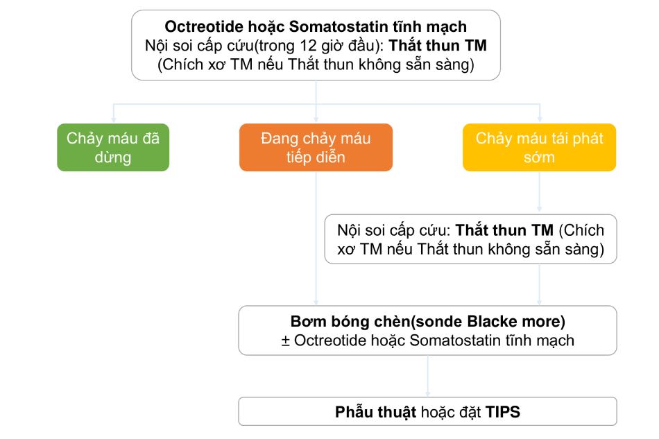 Hồi sức ban đầu trong xuất huyết tiêu hóa trên