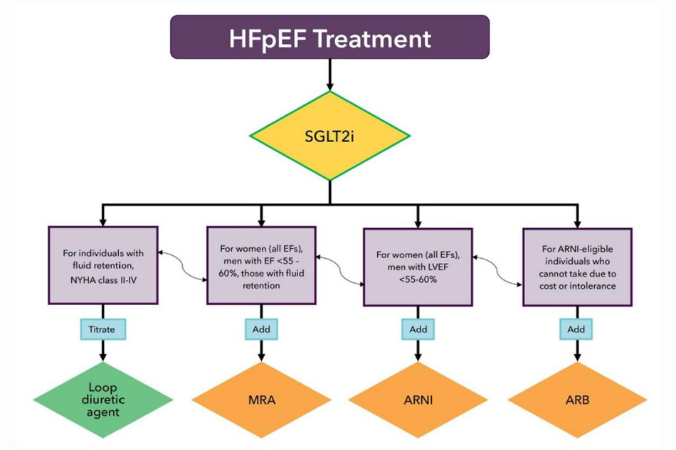 Hình 9 Lược đồ điều trị cho GDMT đối với HFpEF* (*Màu xanh lá chỉ ra điều trị nhóm 1a từ các hướng dẫn thực hành lâm sàng,14 màu vàng là điều trị nhóm 2a, và màu cam là điều trị nhóm 2b. SGLT2i là chỉ định nhóm 2a theo hướng dẫn của 2022 AHA/ACC/HFSA HF,14 nhưng độ hiệu quả, giờ được xác nhận trong 2 nghiên cứu ngẫu nhiên,00'61 chỉ ra rằng SGLT2i có thể nằm ở nhóm khuyến cáo cao hơn trong tương lai, và do đó hình thoi màu vàng có viền xanh lá. AF:rung nhĩ; ARB:chẹn thụ thể angiotensin; ARNI: út diễn thụ thế nepriysin của angiotensin; EF: phân suất tống máu; HFpEF: suy tim EF bảo tồn; LVEF: phân suất tống máu thất trái; MRA: đối vận mineralocorticoid; NYHA:Hiệp hội tim mạch New York; SGLT2i: thuốc ức chế kênh đồng vận sodium-glucose.)