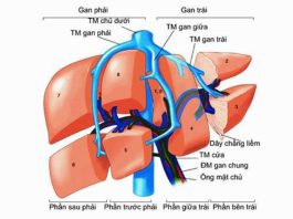 HUYẾT KHỐI TĨNH MẠCH CỬA Ở BỆNH NHÂN XƠ GAN