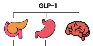 Từ việc phát hiện ra Insulin đến việc phát hiện ra Glucagon-Like Peptide 1 (GLP-1)