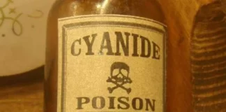 Ngộ độc Cyanua