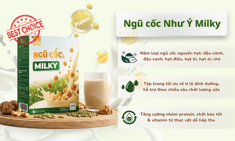 Ngũ cốc lợi sữa Như Ý Milky được nhiều mẹ tin tưởng chọn lựa nhờ công thức dinh dưỡng chuyên sâu