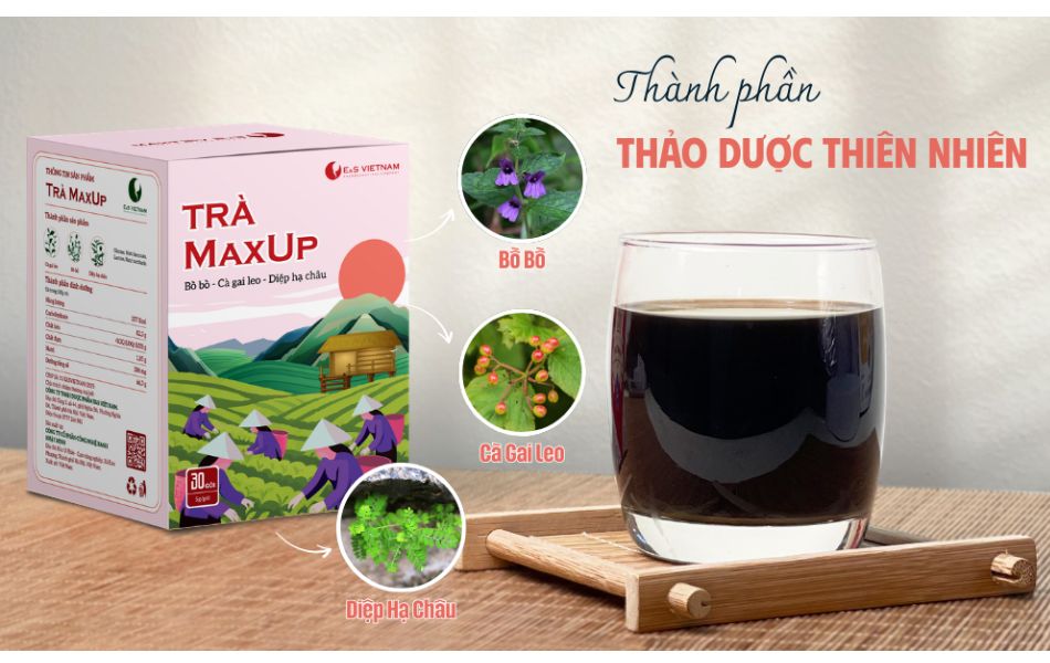 Trà MaxUp với thành phần 100% từ thảo dược tự nhiên, an toàn, lành tính