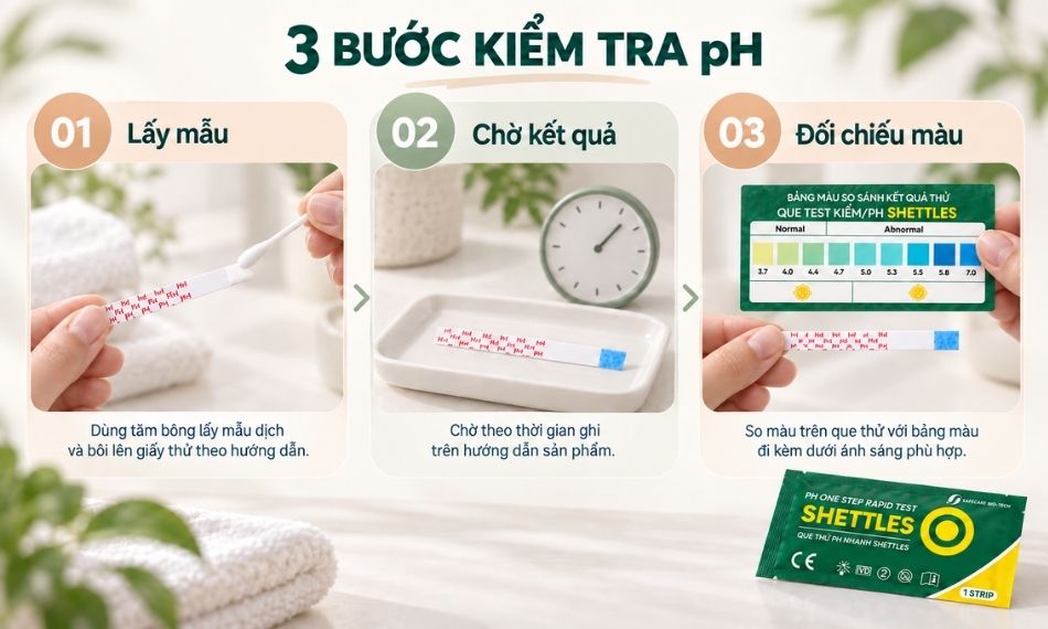Quy trình kiểm tra 3 bước cơ bản