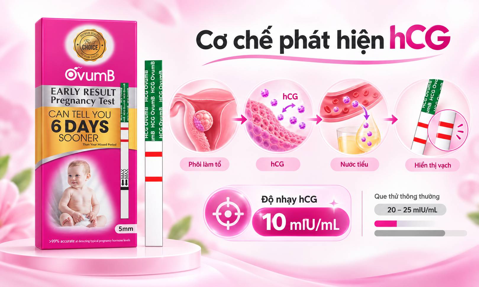 Điểm đặc biệt của Que thử thai OvumB